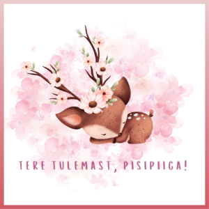 Katsikukaart